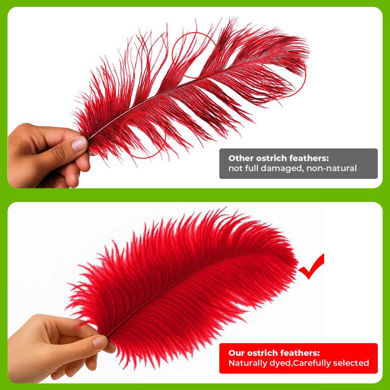 Piokio 20pcs Natural Red Ostrich Feathers 10-12 inch (25-30cm) Bulk Feathers for Wedding Party Centerpieces, Home Decoration and DIY Clothing, Gatsby Decorations - Image 3